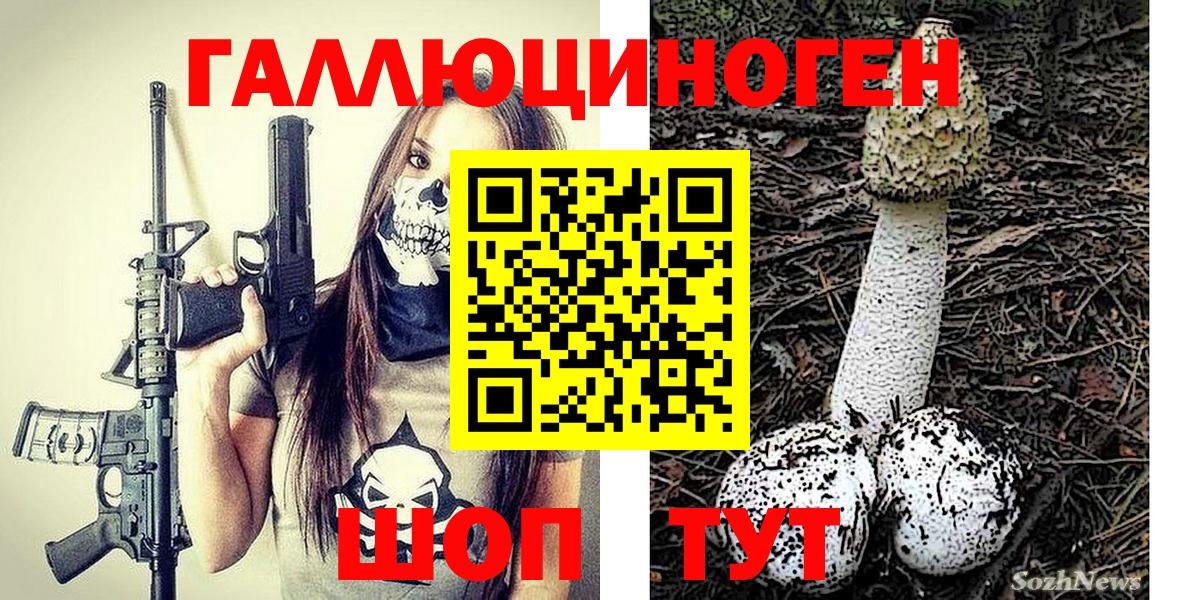 Галлюциногенные грибы Psilocybe  Вход с VPN  Галлюциногенные грибы ЛСД  Шебекино 