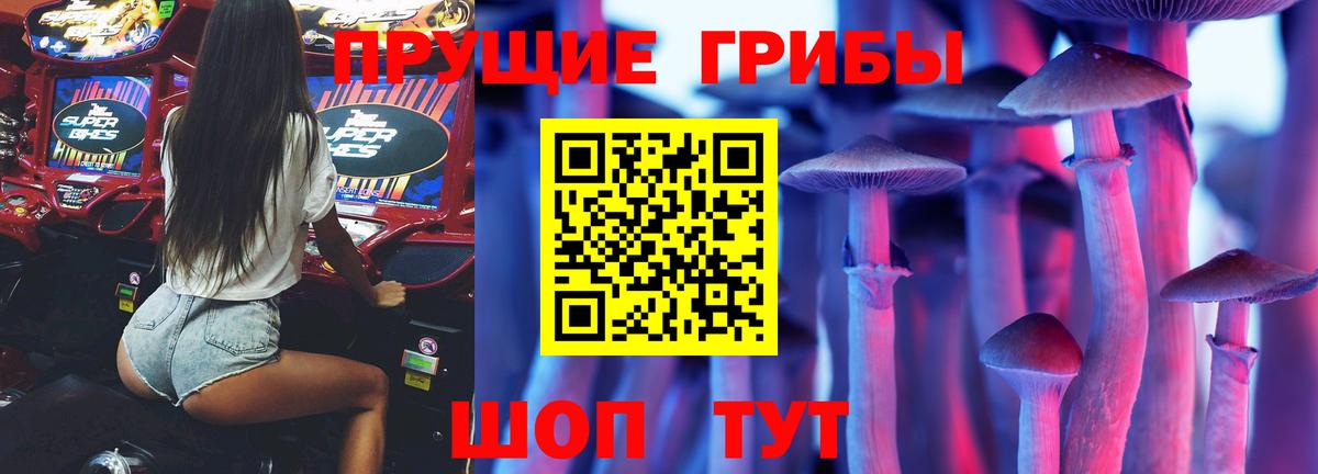 Псилоцибиновые грибы Cubensis Шебекино
